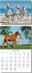 Kalendarz 2026 Konie