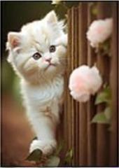 Mozaika diamentowa kotek 30x40cm