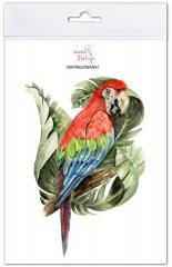 Naprasowanki Ara zielonoskrzydła