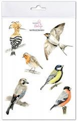 Naprasowanki Ptaki 2