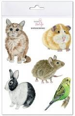 Naprasowanki Zwierzęta domowe