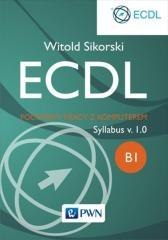 ECDL. Podstawy pracy z komputerem Moduł B1