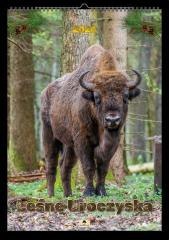 Kalendarz 2026 A2 ścienny jednostronny uroczyska