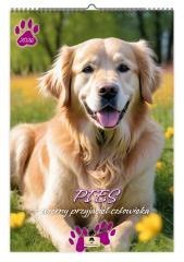 Kalendarz 2026 A3 ścienny pis wierny przyjaciel