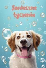 Kartka okolicznościowa W dniu urodzin pies