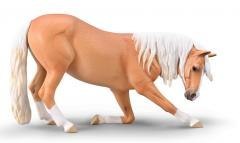 Klacz lusitiano kłaniająca się maści izabelowatej