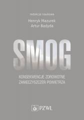 Smog. Konsekwencje zdrowotne zanieczyszczeń...