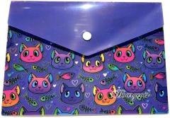 Teczka A5+ plastikowa z klipsem Kotki