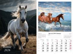 Kalendarz 2026 ścienny Konie