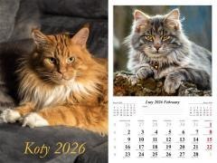 Kalendarz 2026 ścienny Koty