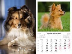 Kalendarz 2026 ścienny Psy