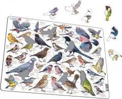 Układanka Garden Birds Ptaki ogrodowe polne Maxi