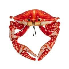 Krab pomarańczowy 26cm