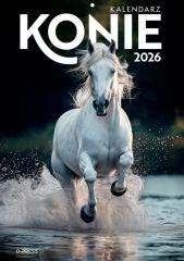 Kalendarz 2026 A4 Wieloplanszowy Konie