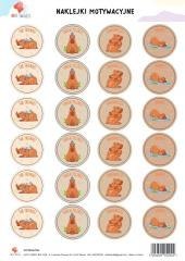 Naklejki motywacyjne A4 Kapibara motywiara