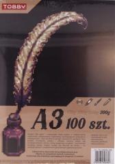 Brystol A3 300g 100 ark