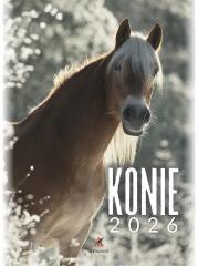 Kalendarz 2026 wieloplanszowy B4 Konie