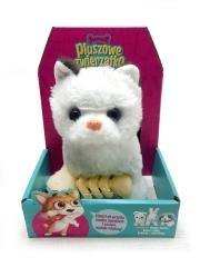 Kotek chodzący z rybką