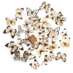 Naklejki PET - Motyle black&white 40szt