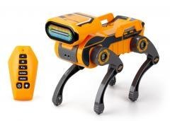 Robo Express pomarańczowy