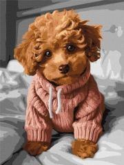 Malowanie po numerach - Magiczny Maltipoo 30x40cm