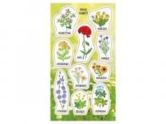 Naklejki Kwiaty polne