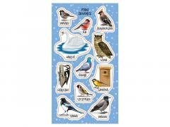 Naklejki Ptaki zimujące w Polsce