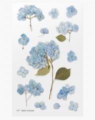 Naklejki ozdobne kwiaty - Hortensja
