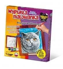 Wypukła malowanka Koty - Brytyjski krótkowłosy