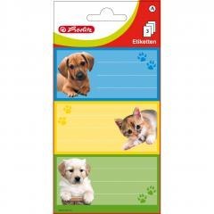 Naklejki A szkolne kotek/piesek