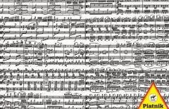 Puzzle 1000 - Nuty PIATNIK