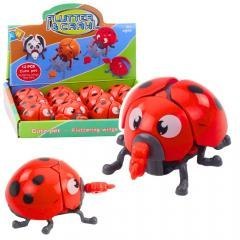 Biedronka nakręcana