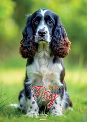 Kalendarz 2026 ścienny Psy