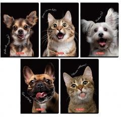 Zeszyt A5/80K kratka z marginesem Animal (5szt)