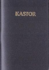 Kalendarz 2026 plastik MIX