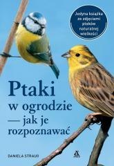 Ptaki w ogrodzie jak je rozpoznawać