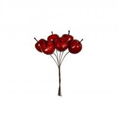 Stroik rajskie jabłuszka czerwony