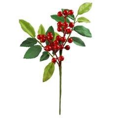 Zimowa gałązka z jagodami