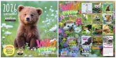 Kalendarz 2026 ścienny Classic Wild Puppies