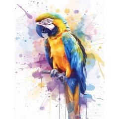 Malowanie po numerach 40x50cm Papuga
