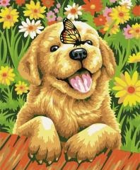 Malowanie po numerach 40x50cm Piesek z motylem