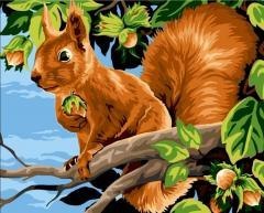 Malowanie po numerach 40x50cm Wiewiórka z...