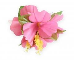 Spinka hawajska duża różowa