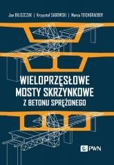 Wieloprzęsłowe mosty skrzynkowe z betonu...