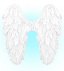 Białe skrzydła naturalne pióra