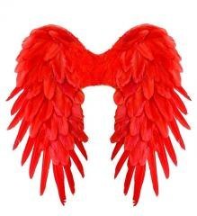 Czerwone skrzydła naturalne pióra