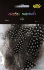 Pióra perliczek 10-15 cm 15szt