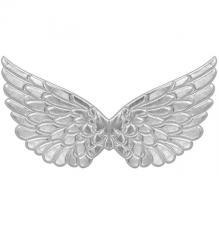 Srebrne skrzydła