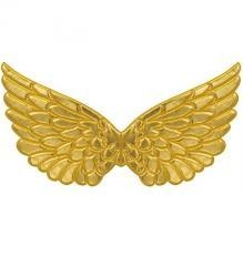 Złote skrzydła