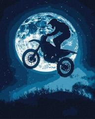 Malowanie po numerach - Nocny szał 40x50cm